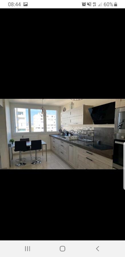 Appartement Laurent Bonnevay Villeurbanne Ngoại thất bức ảnh