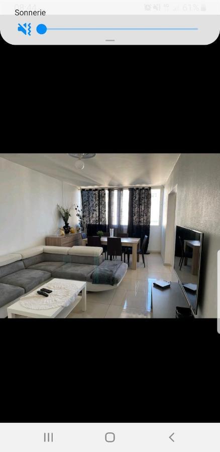Appartement Laurent Bonnevay Villeurbanne Ngoại thất bức ảnh